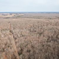 County Line Deer Camp