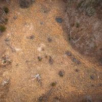 County Line Deer Camp images 2