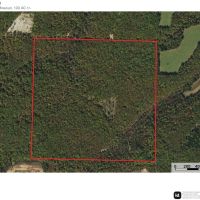 County Line Deer Camp images 4