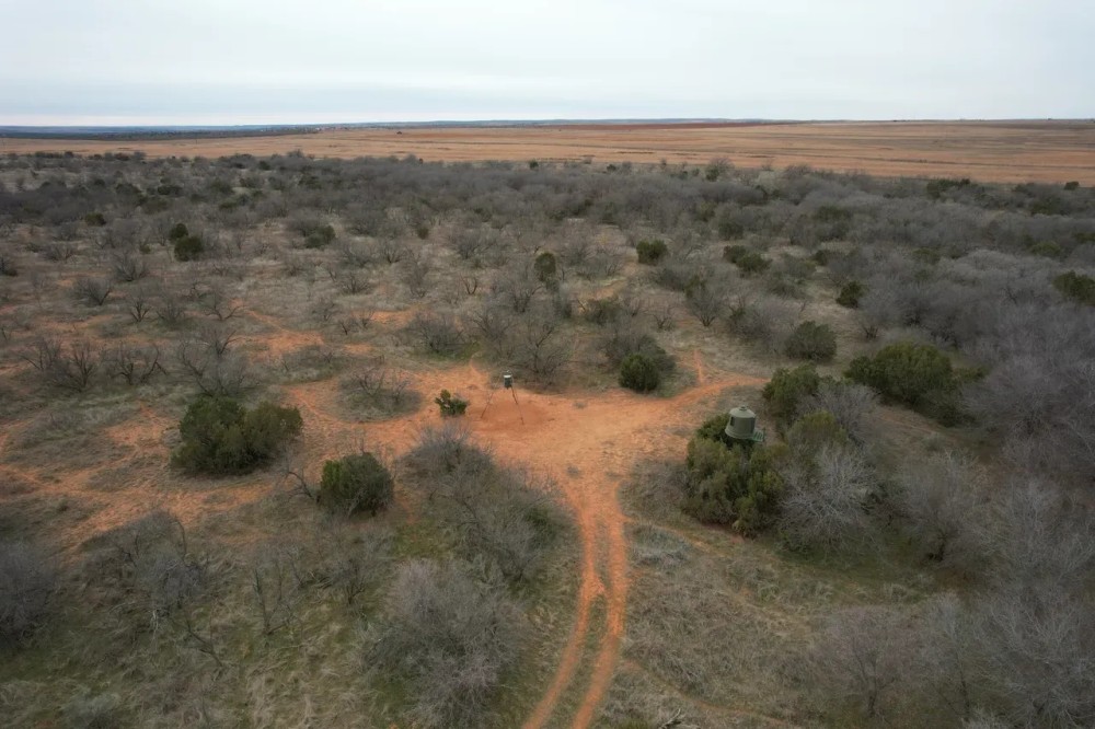 200 Acres Cottle County Texas Hunting and Farm Ground featured image