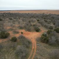 200 Acres Cottle County Texas Hunting and Farm Ground
