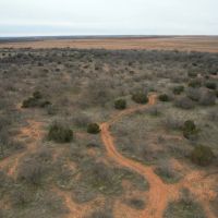 200 Acres Cottle County Texas Hunting and Farm Ground images 2