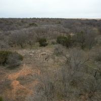 200 Acres Cottle County Texas Hunting and Farm Ground images 3