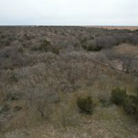 200 Acres Cottle County Texas Hunting and Farm Ground images 4