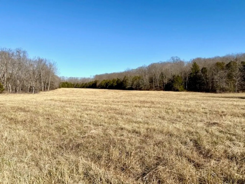 199 Acres Pastures Woods Spring Fed Pond Electric Douglas County featured image