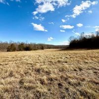 199 Acres Pastures Woods Spring Fed Pond Electric Douglas County images 3