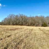 199 Acres Pastures Woods Spring Fed Pond Electric Douglas County images 4