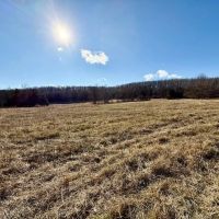 199 Acres Pastures Woods Spring Fed Pond Electric Douglas County images 5