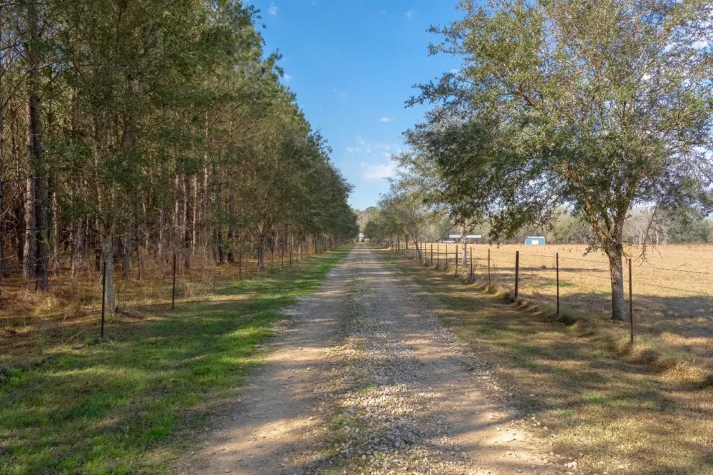 740 Kinsey rd Monticello FL 32344 featured image