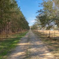 740 Kinsey rd Monticello FL 32344