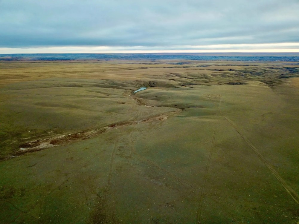Milk River Valley Ranch featured image
