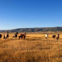 Cross Creek Ranch images 4