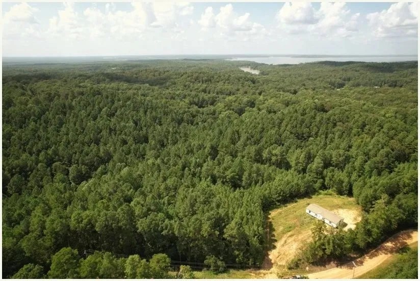 76 Acres in Grenada County in Grenada MS featured image