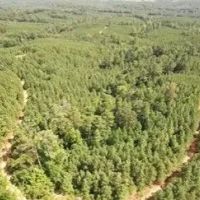 76 Acres in Grenada County in Grenada MS images 3