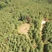 76 Acres in Grenada County in Grenada MS images 5