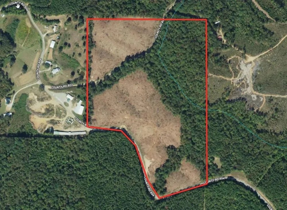 44.2 acres in Randolph County featured image
