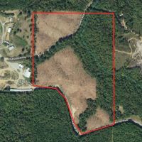 44.2 acres in Randolph County