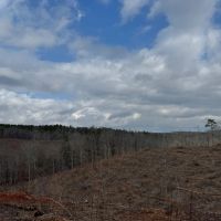 44.2 acres in Randolph County images 5
