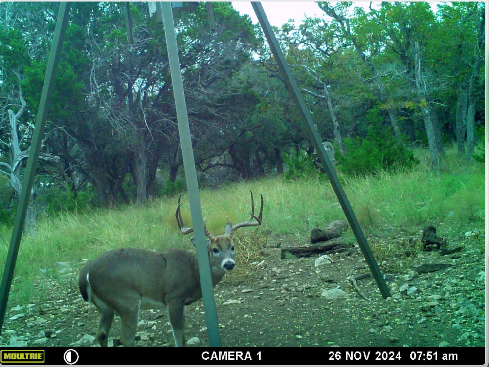 Screen shot 2024-12-03 at 3.15.34 pm featured image