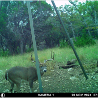 4,797 acres, 30 minutes West of Kerrville