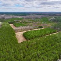 Lilley Farm - Investment Creek Frontage Timberland