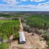 Lilley Farm - Investment Creek Frontage Timberland images 2