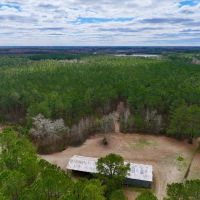 Lilley Farm - Investment Creek Frontage Timberland images 3