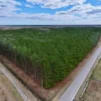 Lilley Farm - Investment Creek Frontage Timberland images 5