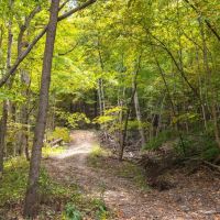 Infidel Hollow Rd Hamburg IL