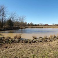 240 ACRES DUAL RANCH AND RECREATIONAL WEST