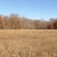 240 ACRES DUAL RANCH AND RECREATIONAL WEST images 5
