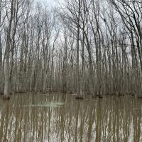 112 Acres in Holmes County MS images 2