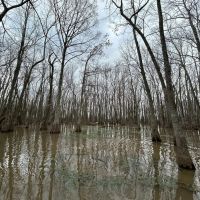 112 Acres in Holmes County MS images 3