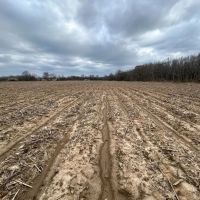 112 Acres in Holmes County MS images 4