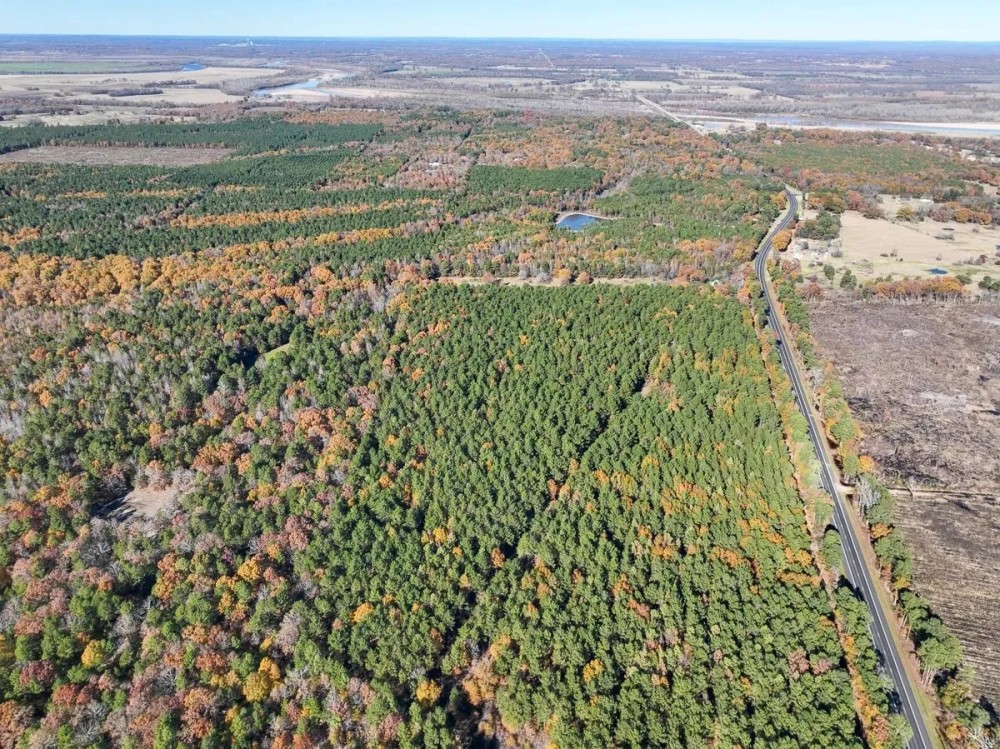 21 Acres Hwy 37 T-5 Kiskadee featured image