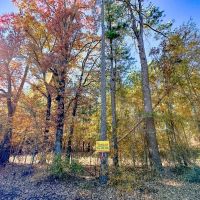 21 Acres Hwy 37 T-5 Kiskadee images 4