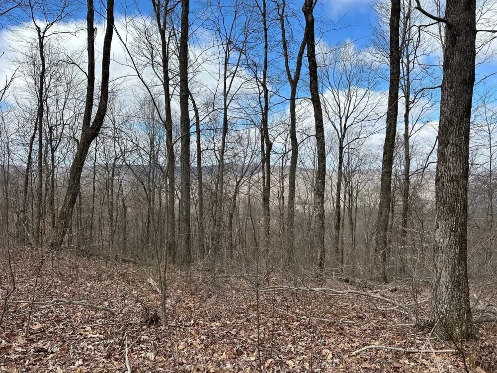 126 -acres Unrestricted beautiful gently rolling wooded property. featured image