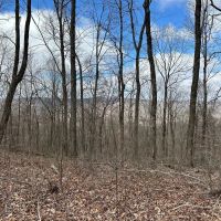 126 -acres Unrestricted beautiful gently rolling wooded property.