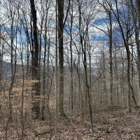 126 -acres Unrestricted beautiful gently rolling wooded property. images 2