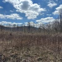 126 -acres Unrestricted beautiful gently rolling wooded property. images 5