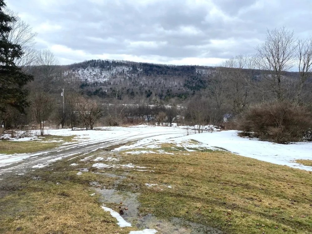141 acres Recreational Land and Building Lot with Creek in Wellsville NY Brad Adams Rd featured image
