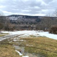 141 acres Recreational Land and Building Lot with Creek in Wellsville NY Brad Adams Rd