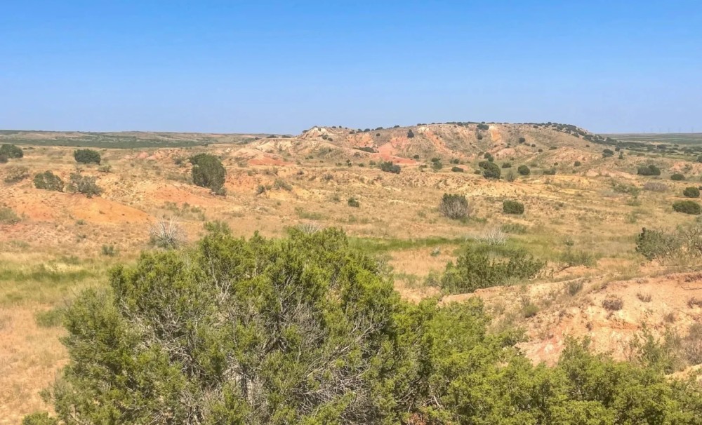 Carter Ranch featured image