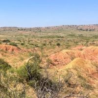 Carter Ranch images 3