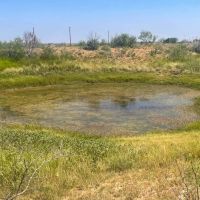 Carter Ranch images 4