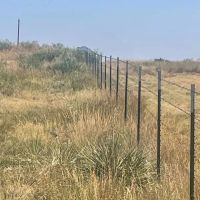 Carter Ranch images 5