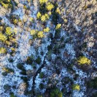 Sandy Creek Ranch images 2