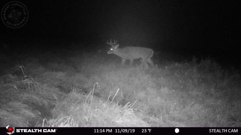 Affordable Deer Duck Hunting Land in Montello WI featured image