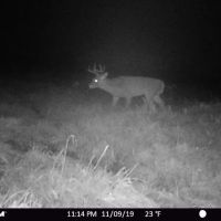 Affordable Deer Duck Hunting Land in Montello WI