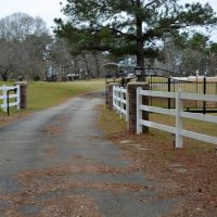 East Texas Estate Custom Home with 48.5 acres images 4